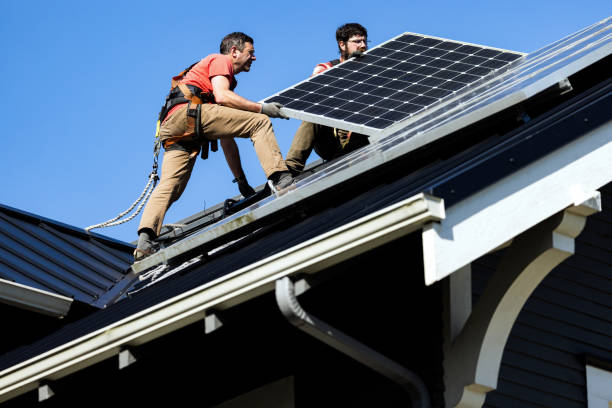 Best Roof Coating and Sealing  in South Elgin, IL